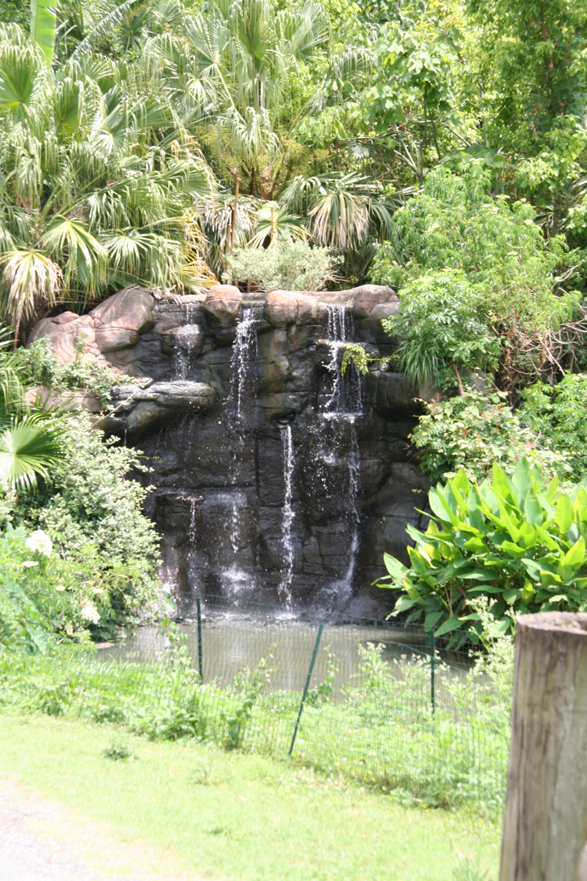Wasserfall im Gehege der Kubaflamingos/waterfall in the American flamingo habitat